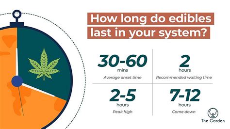 How long does weed edible stay in your system reddit. Higher doses of edibles tend to last longer because it takes your body time to metabolize them and remove them from your system. If you have slower metabolism, the effect of edibles may last longer. ... Keeping an edible in the freezer can make the edible stay fresh longer. QUESTION Negative emotions are more powerful than positive … 