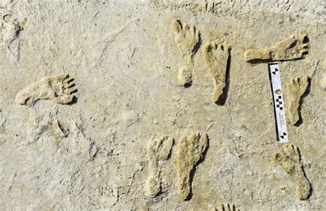 How long have humans lived in North America? These footprints challenge an old belief