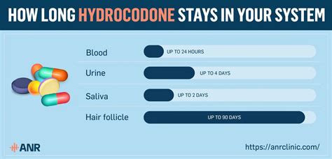 How long hydrocodone stay in your system