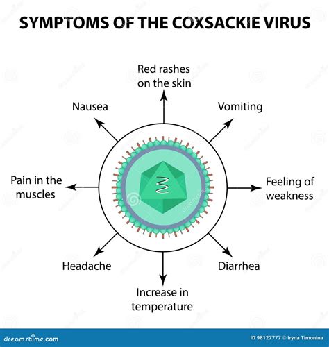 How long is Coxsackie B contagious? – Blackestfest.com