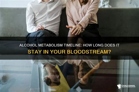 How long is alcohol in your bloodstream