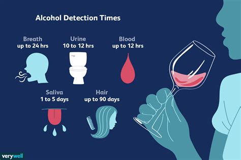 How long is alcohol in your system