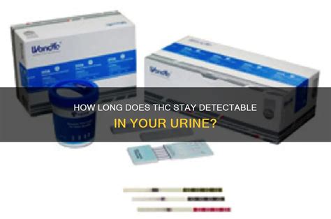 How long is diphenhydramine detectable in urine