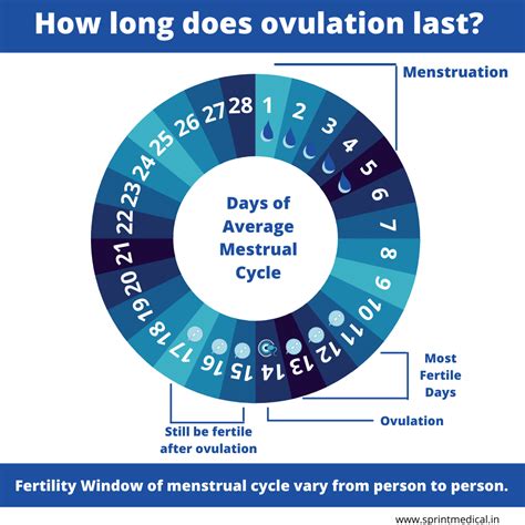 How long is fertile days