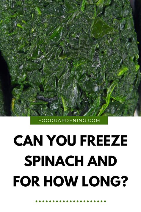How long is frozen spinach good for
