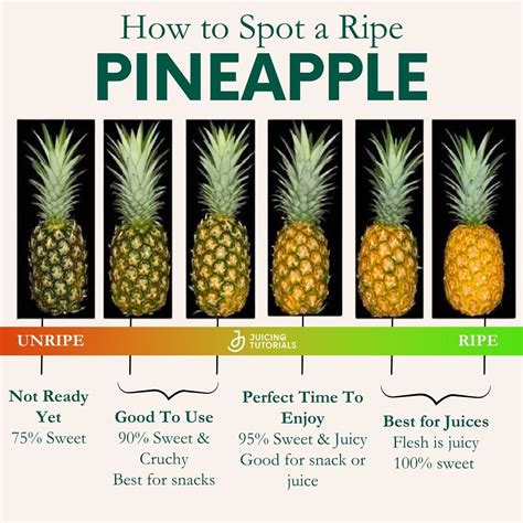 How long is pineapple good for