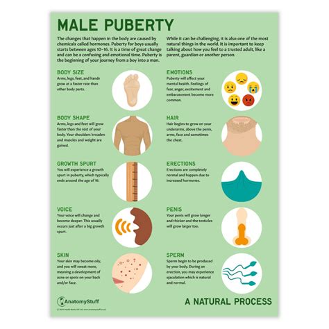 How long is puberty for a boy