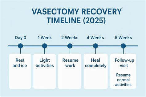 How long is recovery time for vasectomy