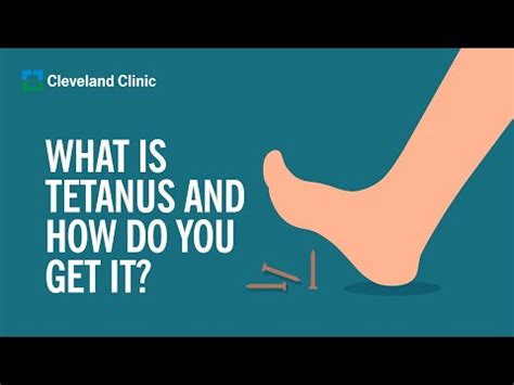 How long is tetanus good for