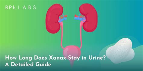 How long is xanax in urine