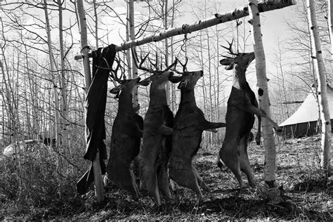 How long should a deer hang