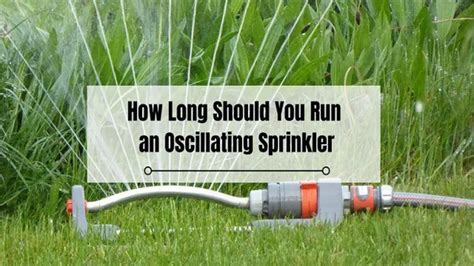How long should a sprinkler system run