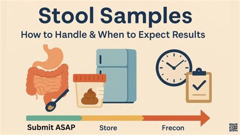 How long should blood in stool last