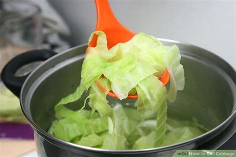 How long should i boil cabbage