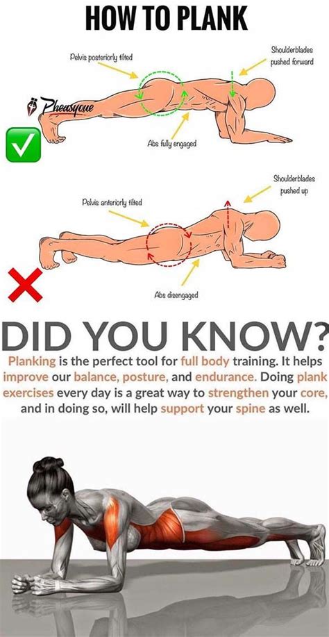 How long should i do a plank