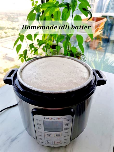 How long should idli batter ferment