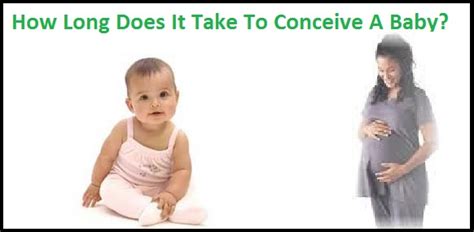How long should it take to conceive