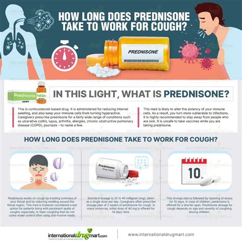 How long should prednisone take to work