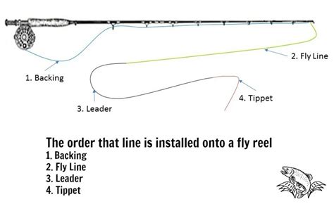 How long should tippet be