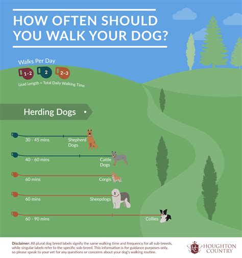 How long should walk dog