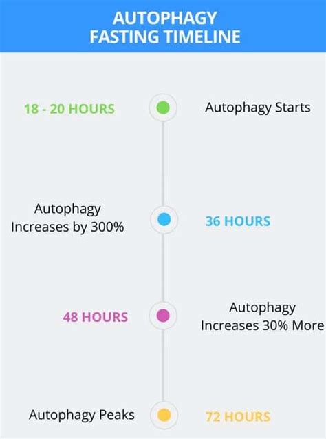 How long should you fast for autophagy