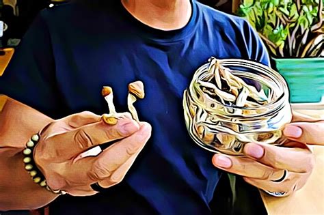 How long should you wait to take shrooms again. Things To Know About How long should you wait to take shrooms again. 