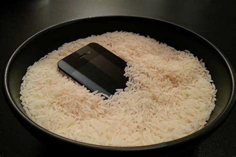 How long to dry phone in rice
