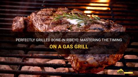 How long to grill bone in ribeye
