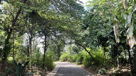 How long to walk bidadari park. .  ...