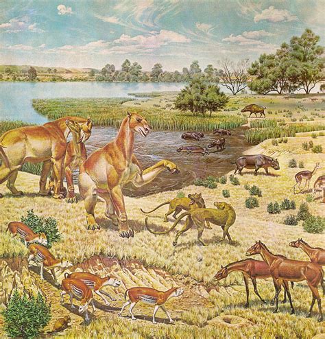 How long was the cenozoic era. Things To Know About How long was the cenozoic era. 