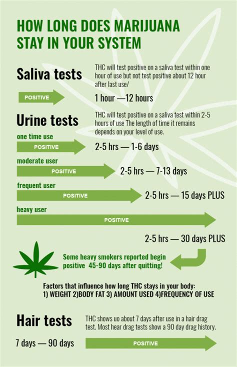 The following are some basic guidelines on how long marijuana will show up on a urine test based on how often you use: 5. Less than twice per week smoker: 1-3 days. Several times per week smoker: 7-21 days. Daily smoker: 30 days or longer. Oral ingestion (edibles): 1-5 days.. 