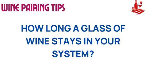 How long wine stay in system