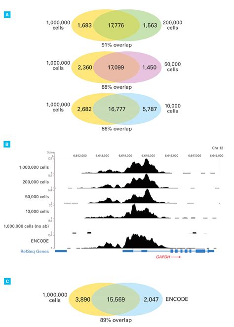 How low can you go? Pushing the limits of low-input ChIP-seq ...