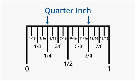 How many 8ths are in a quarter. So, if cutting from a 36" width fabric your fat quarters will be 18" x 18", creating a square with equal sides. If the fabric is 44" wide the fat quarter will be 18" x 22" as shown in the diagram above, creating a rectangle. For regular quarters you will simply cut four pieces each ¼ yard in width from the fabric, with the selvage ... 