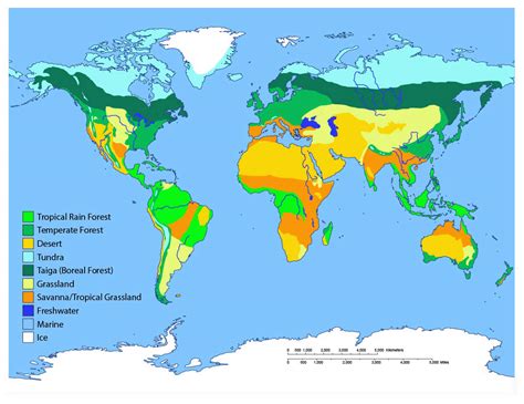 How many biomes are there in the world. There are 7 types of freshwater biomes, each of which can be found in various lakes, rivers, and streams around the world. 2.1 Large Rivers The large rivers biome is found in some of the world's biggest rivers. 