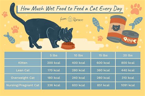 How many cans of cat food per day. How Many Cans of Fancy Feast Do You Feed a Cat Per Day? In general, you should feed an adult cat around 2 to 4 three-ounce cans of Fancy Feast canned cat food per day. Most pet parents end up giving their animals one can in the morning followed by one at night. Your animal may need more or less can food depending on her health, … 