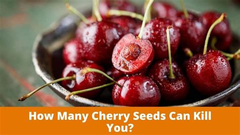 How many cherry seeds can kill you? - JustusFoodies