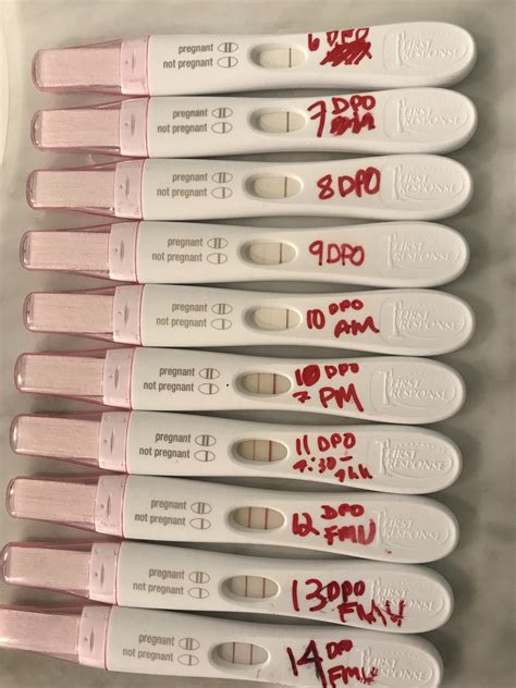 Only a few percent of pregnant people see a positive at 8 dpo. At around 12 dpo, most people will test positive. By 14 dpo, the result is pretty definitive. I got my positive at 11dpo. I was planning to wait another day, but my husband suggested some wine with dinner, and I wanted to be careful.