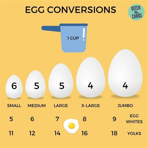 How many eggs are in one carton? – Short-Fact