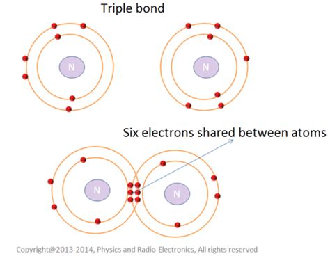 How many electrons are shared in a triple covalent bond.  A nitrogen atom has five v...