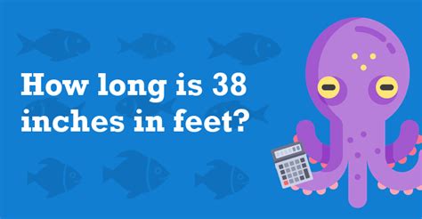 How many feet in 27.7 inches? - ConvertOctopus