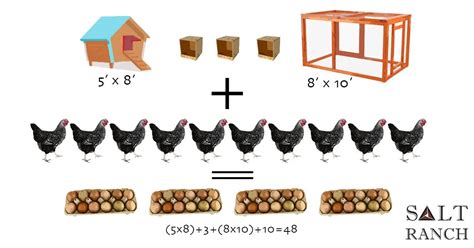 How many layer chickens per square meter. 9 sqft or 0.  Get the simple...