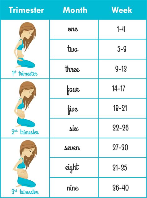 How many months in 25 weeks? - ConvertOctopus