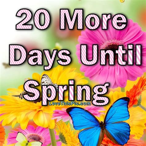 How many more days before spring. Countdown to Spring 2023. 47 days 5 hours 22 minutes 10 seconds. Visit the onlinecalculator.guide website to check other relevant articles like how many days are left for Winter, Summer, Christmas, and so on. 