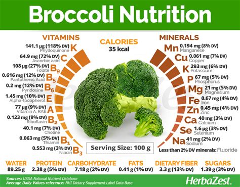 How many net carbs are in a head of broccoli?