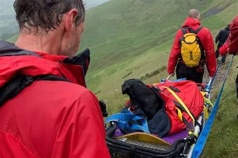 How many people died climbing snowdon- Wales? - Answers