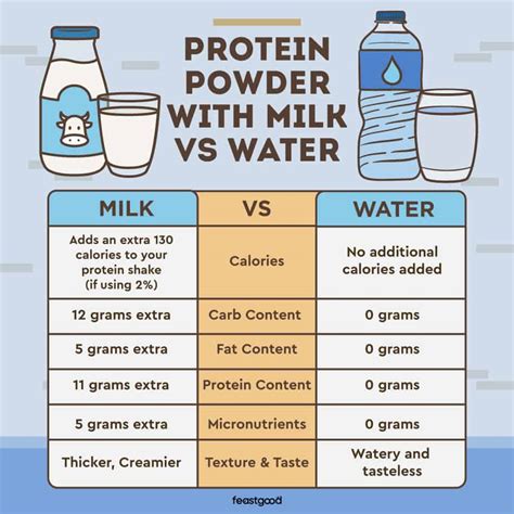 How many times a day can I take protein powder?