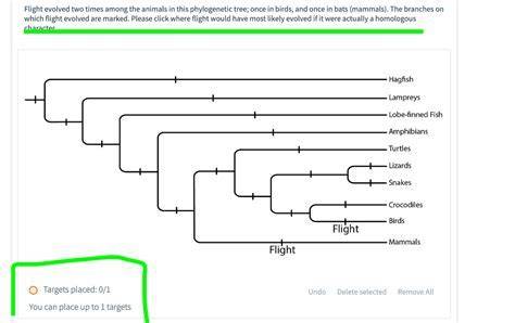 How many times has gliding evolved