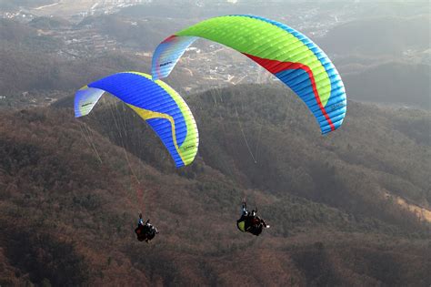 How many types of paragliding are there