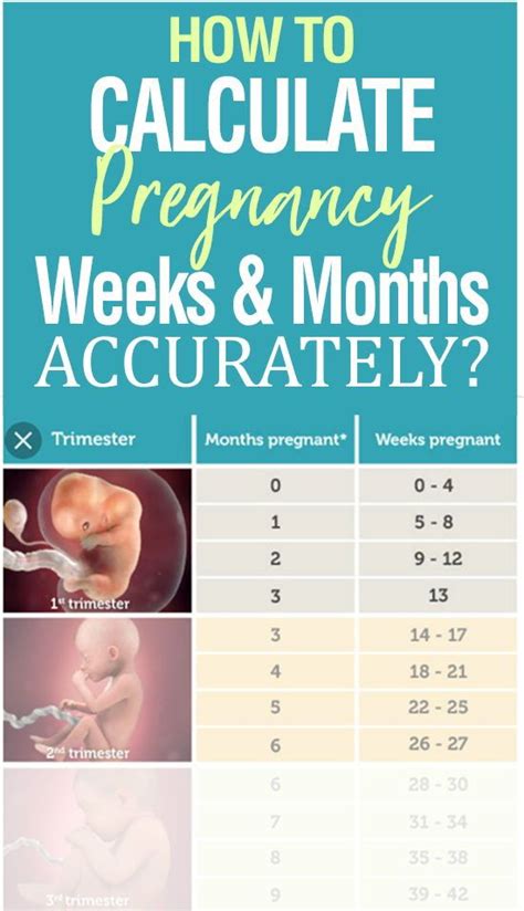 How many weeks are in a month? - RapidTables.com